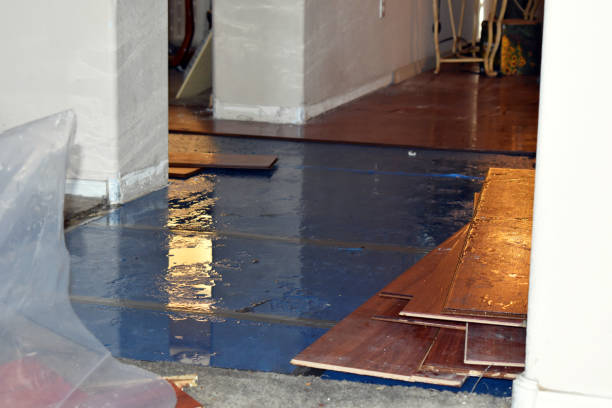 Professional Water Damage Restoration technician working in Delmar, NY